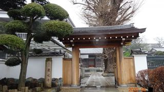 大銀杏と可愛い石像が色々あります。