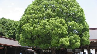 パワースポット