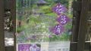 菖蒲園がある