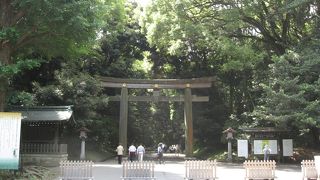 海外からのお客様沢山