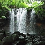 意外と水量があります