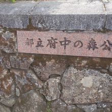 撮っておきました！！