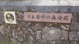 自然溢れている