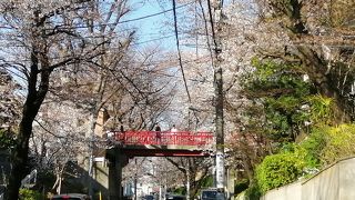 有名な桜坂です