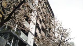 靖国通りの桜