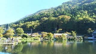 紅葉の時期ではなかったので…