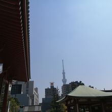スカイツリーが見えます