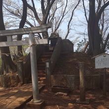 浅間山公園の鳥居です！