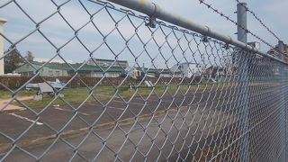 厳しい訓練を受けていそうなところ