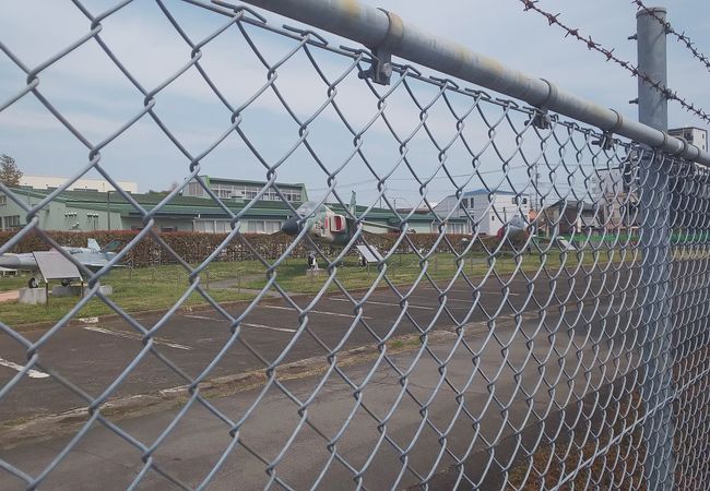 厳しい訓練を受けていそうなところ