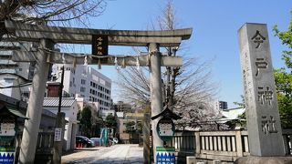 縁結びで有名な神社です By さき 今戸神社のクチコミ フォートラベル 縁結びで有名な神社です By さき 今戸神社のクチコミ フォートラベル
