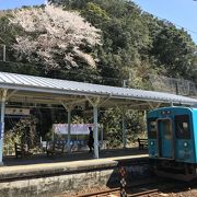 南紀きっての観光地白浜の玄関口もガラガラ