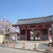 桜が満開の津観音寺