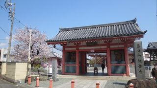 桜が満開の津観音寺