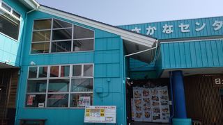おさかなセンター