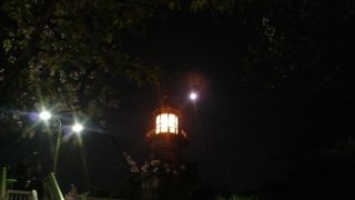 春の夜は明かりが灯り、夜桜と合わさってすごく良い雰囲気