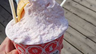 愛知の菜の花スポット