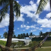 プールサイドのハンモック