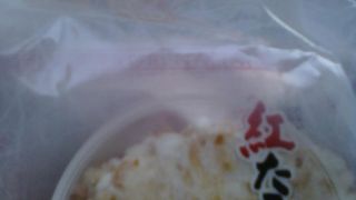 美味しい海のものばかり！