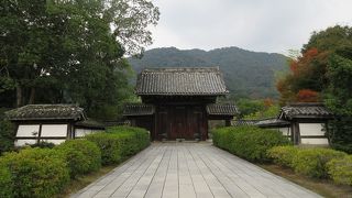 背景の山並みと併せて印象的な雰囲気を醸し出していました。 