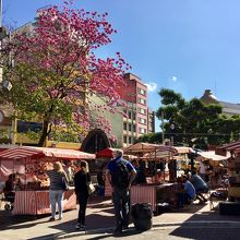 店の前の広場では、土日は写真の様な屋台が出て賑わってます