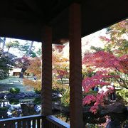 知る人ぞ知る杉並区の紅葉名所