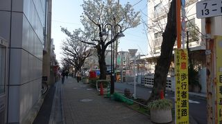 広い歩道で歩きやすかったです