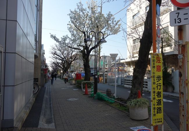 広い歩道で歩きやすかったです