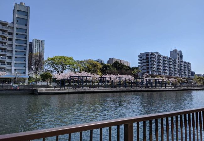 高浜運河沿緑地 クチコミ アクセス 営業時間 品川 フォートラベル