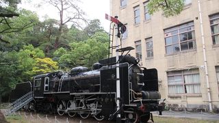 黒い外観が迫力あるSL列車D60の方が楽しめました。