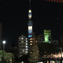 境内からもスカイツリーがみえる