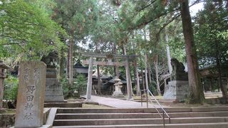 木立の間を一直線に伸びる石畳の長い参道は、非常に雰囲気がありました。