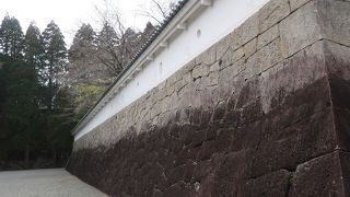 雰囲気の良い城址