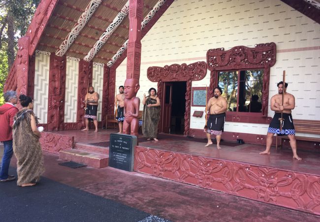 ワイタンギ条約グラウンド