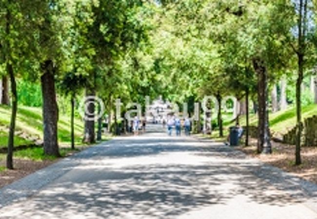 ボルゲーゼ公園 クチコミ アクセス 営業時間 ローマ フォートラベル