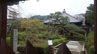 牡丹も良いが桜も風情が