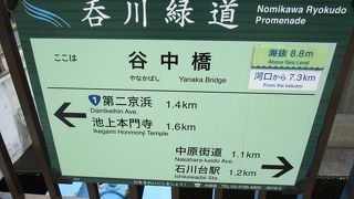 暗渠化された上部が緑道となった呑川の両側には、かつて川の土手に植えられた約３００本の桜が今も残っています。