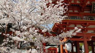 三宮駅から徒歩で行ける