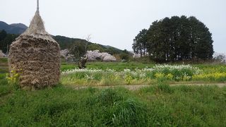 九品寺庭園