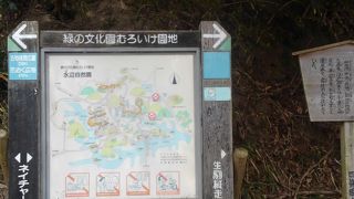 静かな池が広がる園地