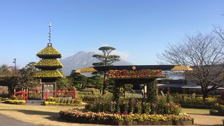 桜島ビューポイント