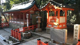 鮮やかな色合い