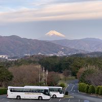 朝富士山が見えました