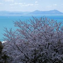 山頂展望台からの眺め