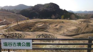 上から一望できます