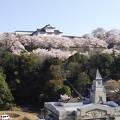 津山城が眼前、桜の時期の宿泊は絶対お薦め