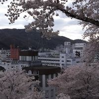 鶴山公園から見るホテル
