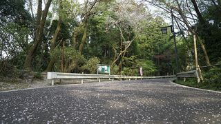 大多喜県民の森キャンプエリア クチコミ アクセス 営業時間 いすみ 大多喜 フォートラベル 大多喜県民の森キャンプエリア クチコミ アクセス 営業時間 いすみ 大多喜 フォートラベル
