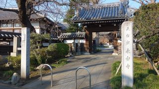 境内の大木が歴史を物語っていました