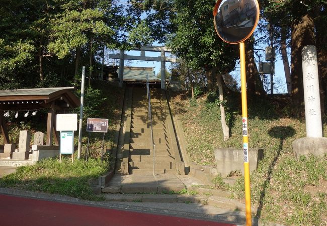 緑に囲まれた小高い場所にある神社